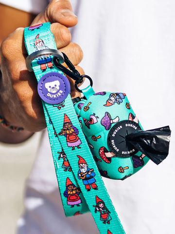 COLLAR GNOMES